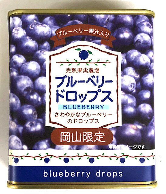 駄菓子 【岡山のおみやげ】ブルーベリードロップス　(ブルーベリー果汁入り)(岡山限定)(お土産)(プレゼント)(ご当地スイーツ)(岡山名物)(駄菓子)