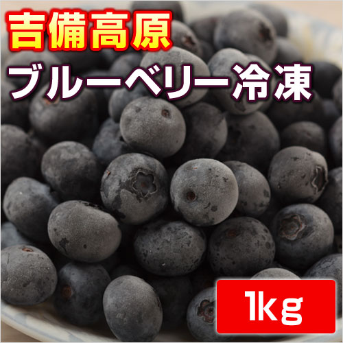 吉備高原ブルーベリー　1kg　 