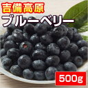 【生果】 吉備高原ブルーベリー 500g ● 生果 ●