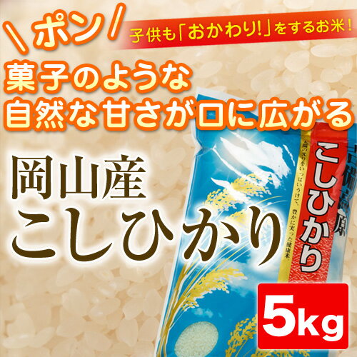 令和元年産 こしひかり5kg【岡山県産】...