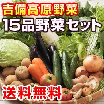■送料無料■翌日発送も出来ます!【吉備高原農家の野菜】大盛り15品野菜セット【税別】3000円【常温便】【西日本】【吉備高原野菜】【岡山】