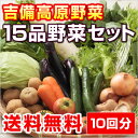 10回分■送料無料■【吉備高原農家の野菜】大盛り15品セット【税込】32400円