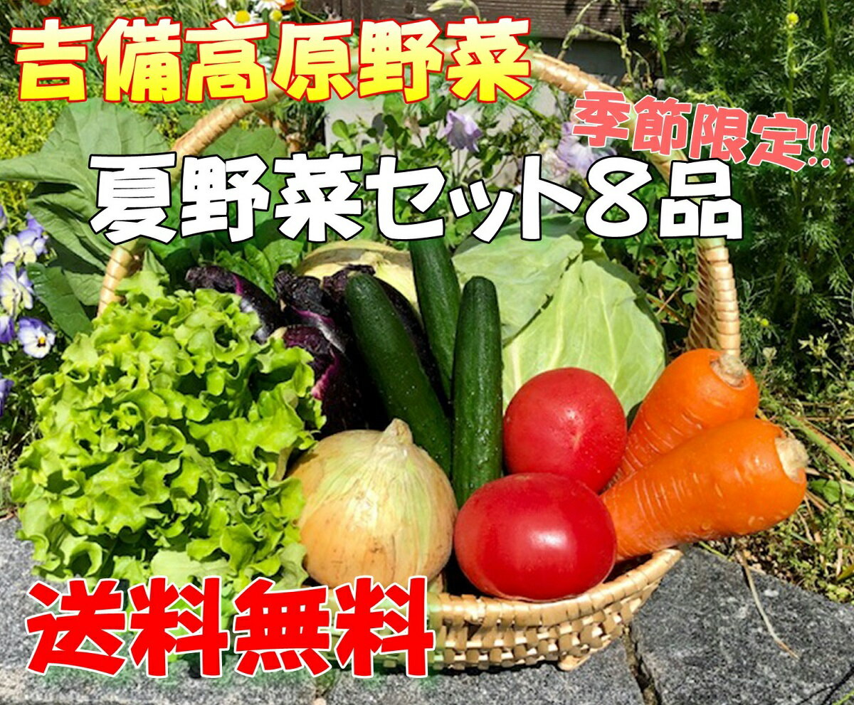 夏限定 送料無料 【吉備高原農家の夏野菜】夏野菜お試し野菜セット 8品 【クール便・常温便】【岡山】【お中元】【のし対応可】【父の日】