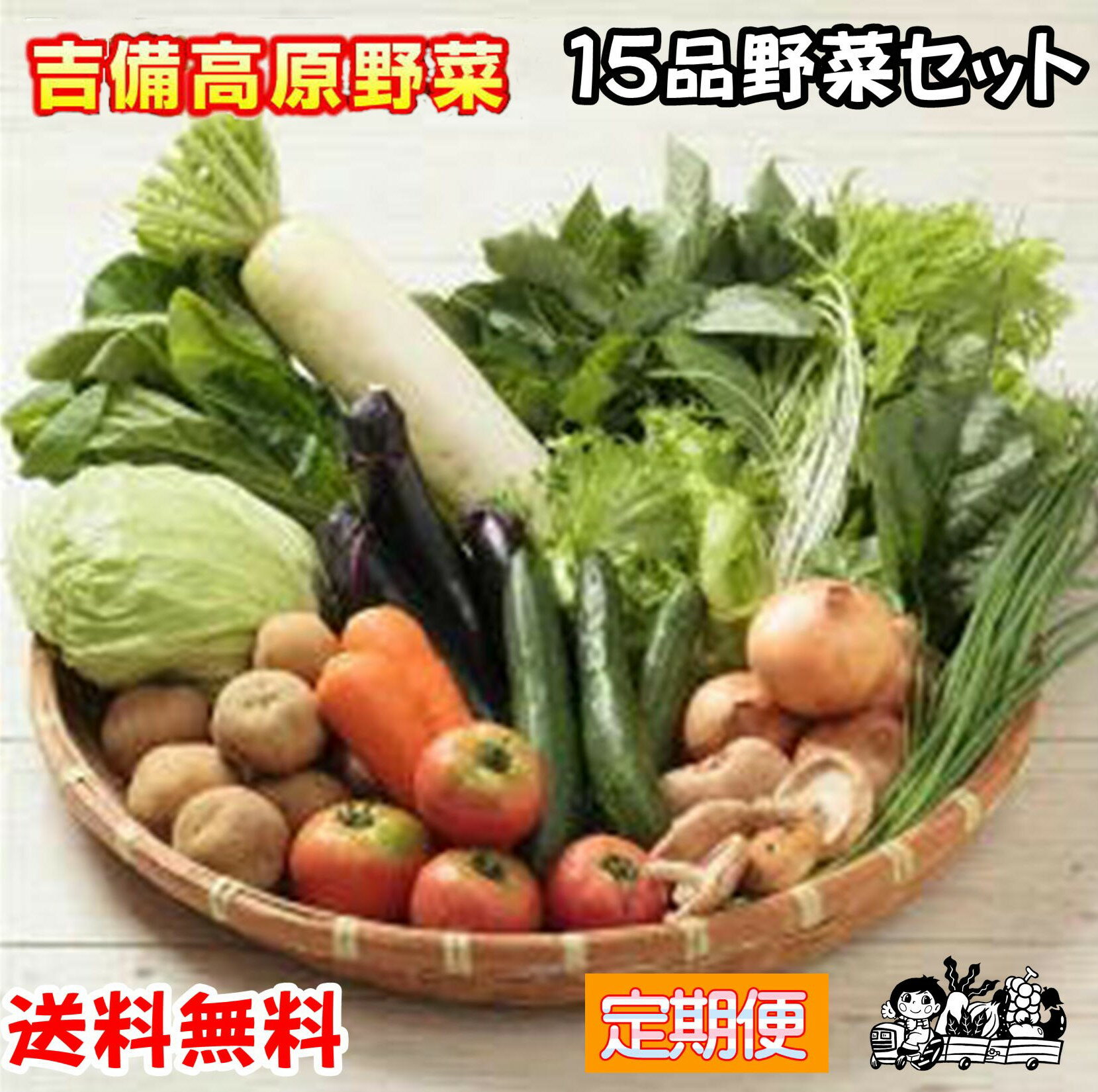 【定期便】【お好みのペースで配送】【送料無料】岡山 吉備高原農家の野菜大盛り15品野菜セット税込 3980円【楽ちん定期配送】