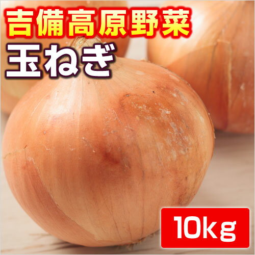 【岡山産】玉ねぎ10kg