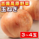 【岡山産】 玉ねぎ 3~4玉