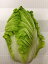 【岡山県産】 白菜 6玉 3,250円