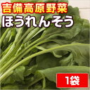 ◇ほうれん草◇ 吉備高原の生産農家が自家用に栽培したお野菜です。農家の皆さんが、美味しく食べる、安心をご賞味下さい。 内容量 1袋・150〜200g入り（大きさと市場価格にて調整） 賞味期限 新鮮な内にお早めにお召し上がり下さい 保存方法 保存される場合は冷蔵庫（野菜ルーム）などで保管し早めにご賞味下さい 原産地 岡山県・吉備高原 商品説明 ●お届け後はなるべくお早めにお召し上がり下さい◆◆◆◆ほうれん草◆◆◆◆＜栄養成分＞ ほうれんそうは、各種ビタミン、ミネラル類が豊富に含まれます。 ビタミンAは120グラム（約6枚分）食べれば1日の必要量をカバーでき、鉄分も大変豊富です。「ポパイ」の大好きなエネルギー源。　