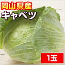 ●キャベツ 吉備高原の生産農家が自家用に栽培したお野菜です。農家の皆さんが、美味しく食べる、安心をご賞味下さい。 内容量 1玉入り（大きさと市場価格にて調整） 賞味期限 新鮮な内にお早めにお召し上がり下さい 保存方法 保存される場合は冷蔵庫（野菜ルーム）などで保管し早めにご賞味下さい 原産地 岡山県 商品説明 ●お届け後はなるべくお早めにお召し上がり下さい