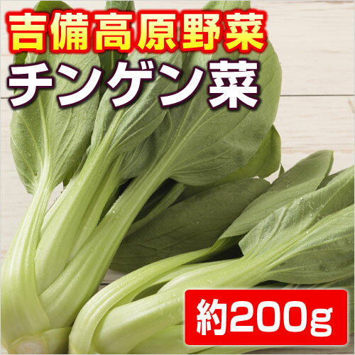 　チンゲン菜・青梗菜