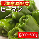 【岡山県産】吉備高原のピーマン 150g〜200g