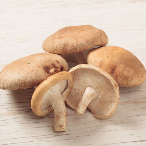 �ڲ������ۤ���������(����ݾ�����)��100g