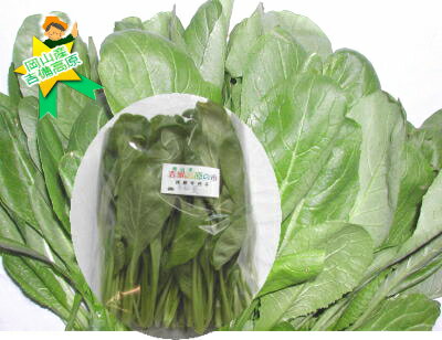 乾燥野菜 小松菜 40g 【吉良食品】