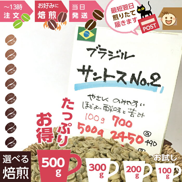 煎りたて !★ ブラジル サントスNo.2 ★ お得 500g お試し 100g 200g 300g★お徳用 コーヒー豆 浅煎り 中煎 深煎り お好みに 注文ごと　オーダー焙煎 新鮮 おいしい 珈琲 自家焙煎 まとめ買い 焙煎したて ミディアム シティ ロースト ・・・ あなたのお好みは?