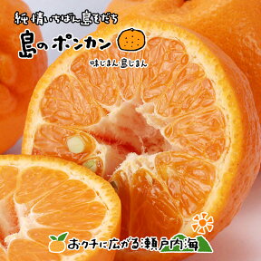 希望の島 ポンカン 5kg 家庭用 サイズ込 愛媛 中島産 ぽんかん みかん