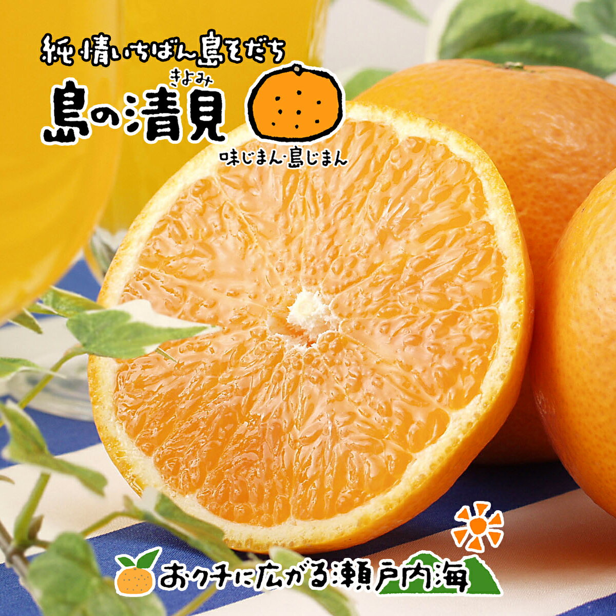 希望の島 清見オレンジ(一覧) 贈答用/家庭用/訳あり品 2kg,5kg,7kg,10kg 愛媛 中島産清見タンゴール みかん 柑橘