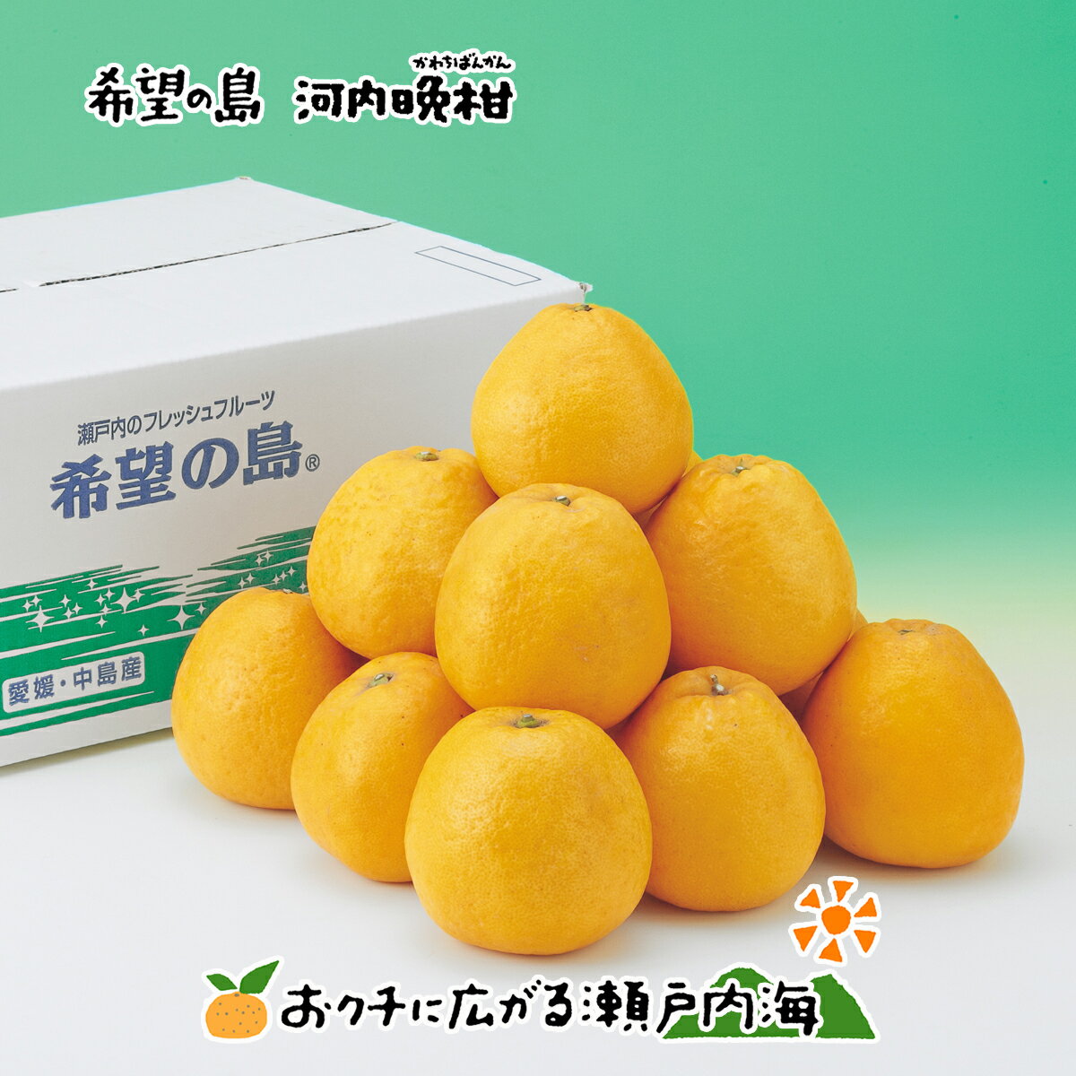 みかん 希望の島 河内晩柑 5kg 贈答用 中玉 愛媛 中島産夏文旦 美生柑 みしょうかん 和製グレープフルーツ 宇和ゴールド 愛南ゴールド みかん