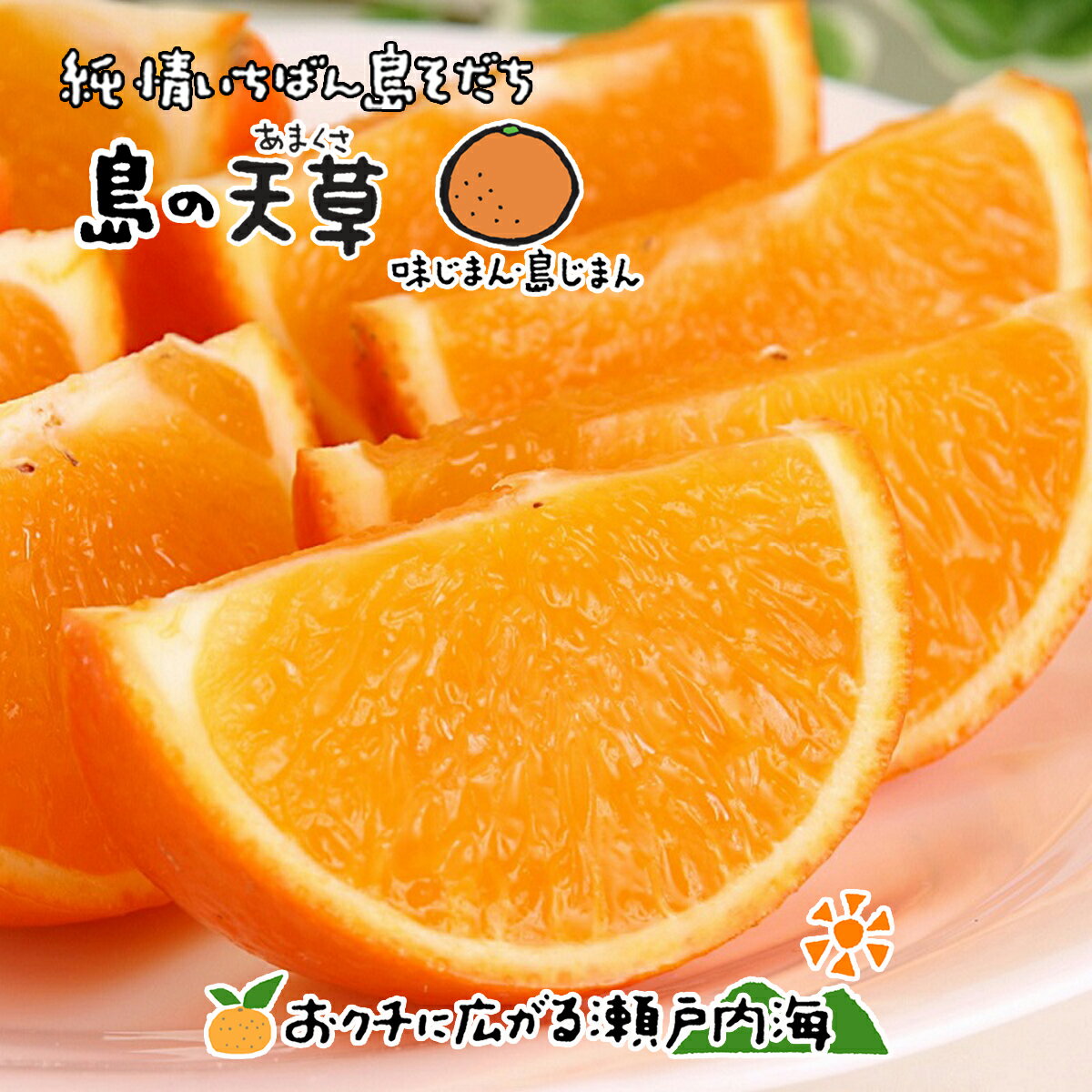 【訳あり】希望の島 天草 5kg サイズ込 愛媛 中島産あまくさ みかん 紅まどんなの親品種