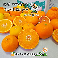 旬の柑橘詰合せ