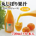 みかんジュース 720ml 6本入 愛媛 中島産【希望の島 