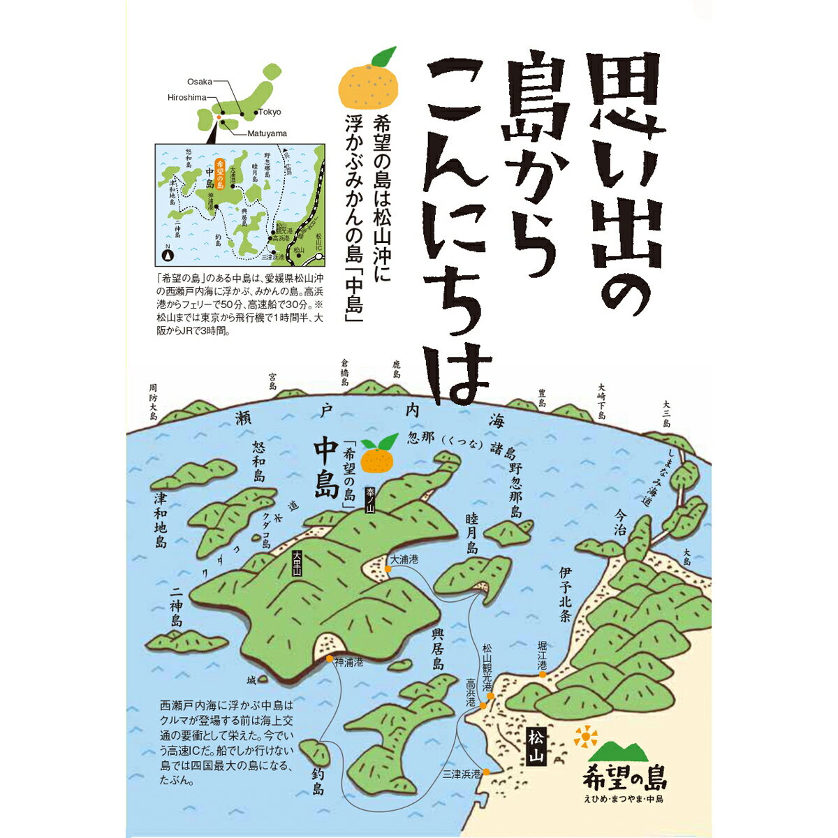 【訳あり】希望の島 国産レモン 3kg 残留農薬ゼロ家庭用 ユーレカレモン 瀬戸内レモン 国産 愛媛 中島産 2