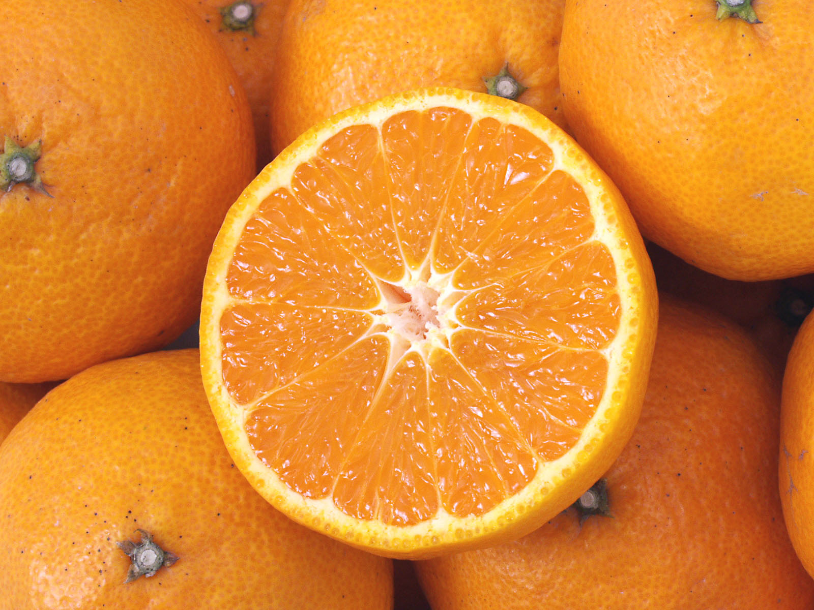 【送料無料】で2000円！愛媛・中島産　幻のみかん『カラマンダリン』　少しキズ有り　サイズ込5...