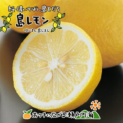 https://thumbnail.image.rakuten.co.jp/@0_mall/kibounosima/cabinet/lemon/lemon2021-1.jpg