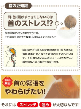 あす楽 PROIDEA プロイデア ホット首ストレッチャー 0070-2186 湯たんぽ 首こり 肩こり 枕 ツボ押し マッサージ 温め 肩コリ 肩 首ストレッチャー ストレートネック ほぐし
