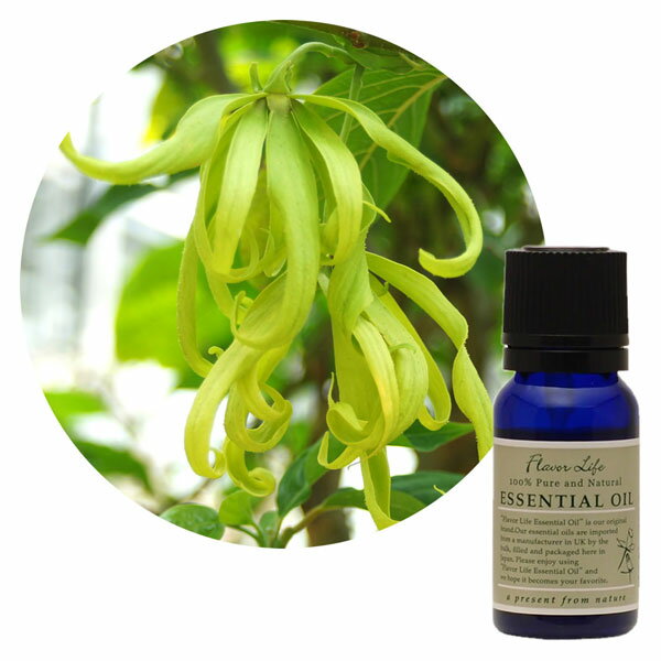 あす楽　FL　エッセンシャルオイル　イランイラン　10ml　フレーバーライフ　精油　アロマ　100%　ピュアエッセンシャルオイル　ナチュラル　アロマランプ　芳香浴　ディフィーザー　ミニボトル　香水のサムネイル