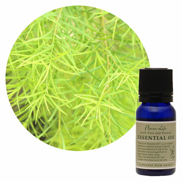 あす楽　FL　エッセンシャルオイル　ティートリー　10ml　フレーバーライフ　精油　アロマ　100%　ピュアエッセンシャルオイル　ナチュラル　アロマランプ　芳香浴　ディフィーザー　ミニボトル　香水のサムネイル