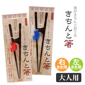 イシダ　きちんと箸　うるし仕上げ　大人用　右きき用　左きき用　日本製　矯正箸