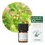  ޡȥ 3ml ŷ  Lemon myrtle