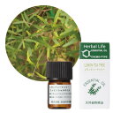 ̖ eB[gD[ 3ml VR A} Lemon tea tree