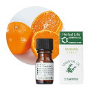 ̖ }_ 3ml VR A} Mandarin