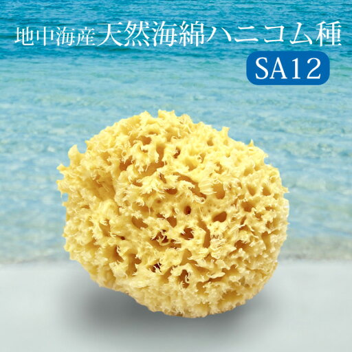 ベリーニ 天然海綿ハニコム種 SA12 約10〜12cm ボディスポンジ シースポンジ 赤ちゃん 敏感肌 天然成分100% Shasa Bellini ベリーニ 天然海綿ハニコム種 SA12 約10〜12cm ボディスポンジ シースポンジ 赤ちゃん 敏感肌 天然成分100% Shasa Bellini