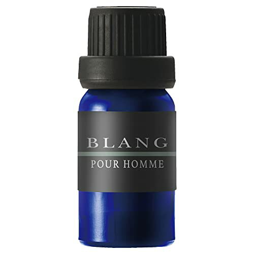 カーメイト(CARMATE) 車用 部屋用 卓上 芳香剤 噴霧式フレグランスディフューザー 専用 フレグランスオイル パフューム プールオム L