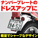 デイトナ(Daytona) バイク用 ナンバープレートホルダー 21年新基準対応 126cc以上用 軽量型 リフレクター付き クローム 9967