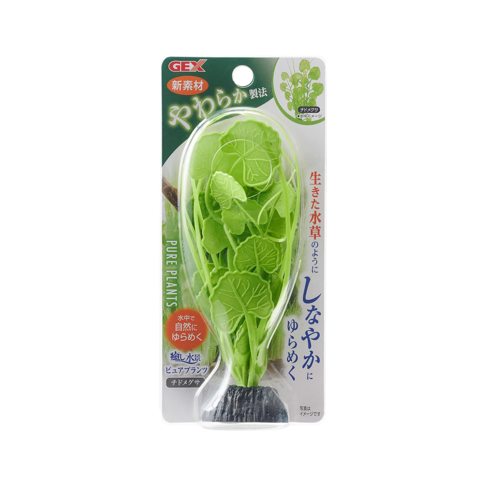 ジェックス 癒し水景 ピュアプランツ チドメグサ×3個セット
