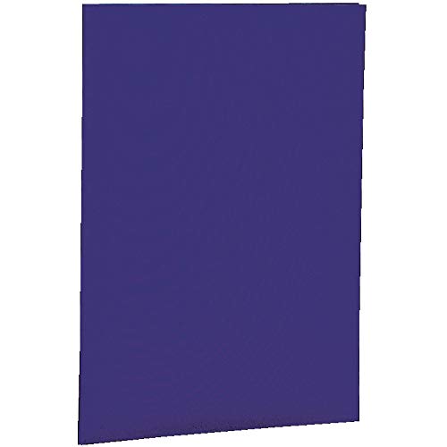 ナカバヤシ 証書ファイル/レザータイプ A4判 紺 FSL-A4B