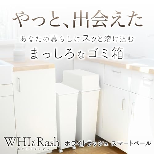 天馬 真っ白で清潔感があり、どんなお部屋にもマッチするシンプルなゴミ箱 日本製 おしゃれ ダストボックス ホワイトラッシュ スマー