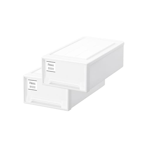 【通販限定2個セット】天馬 収納ボックス フィッツケース クローゼット 幅30×奥行53×高さ18cm 収納ケース たわみにくい 衣装ケース 日