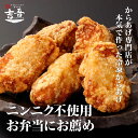 【お弁当にお薦め】元祖からあげにんにく無し（醤油・もも肉） 約500g 5個入×2パック/からあげ 中津 簡単 調理済み 総菜 吉吾 国産 冷凍 おかず お中元 ギフト お弁当 鶏 食品 ご当地 レンジ パーティー アレルギー対応 小麦粉不使用 玉子不使用 百貨店 催事