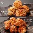 \5/5限定!10%OFFクーポン+ポイント5倍/元祖 からあげ にんにく 5個 + 塩 7個 唐揚げ 国産 冷凍 ギフト レンジ 業務用 大分 県 中津 から...