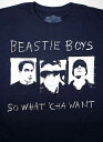 BEASTIE BOYS (r[XeB[E{[CY) / 