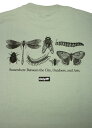 ONLY NY / "CRITTERS" Tee / matcha オンリーニューヨーク