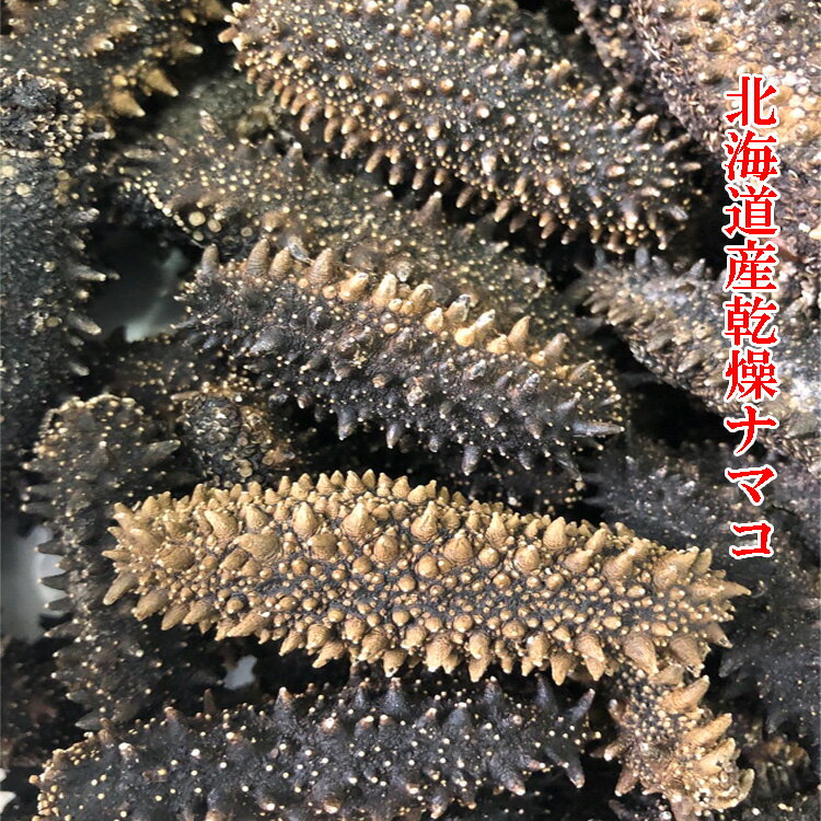 北海道産乾燥ナマコ Mサイズ なまこ ナマコ 海鼠 乾燥...