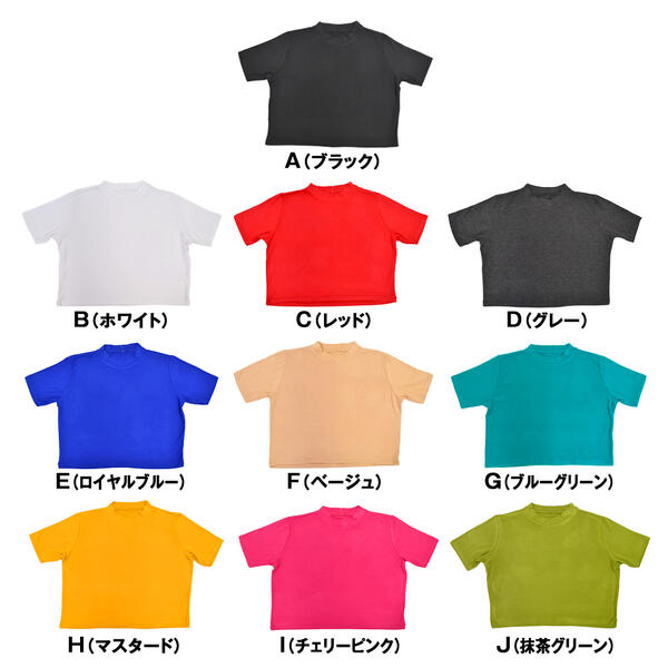 ダンストップス/ハイネックショート丈Tシャツ/ダンスウェア/黒/無地/タイト/ベリーダンス/社交ダンス/ラテン/ヒップホップ/フラダンス/ダンストップス/大人/T84093 レディース ストレッチ素材/半袖 全10色 フリー