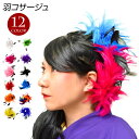 【即納】アクセサリー 羽コサージュ ダンス 衣装 小物 ベリーダンス フラダンス フラメンコ よさこい T91223 レディース/ジュニア/キッズ フェザー ピ...