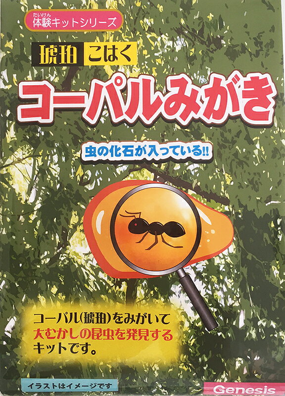 体験キットシリーズ (コーパル磨き) 虫の化石入り