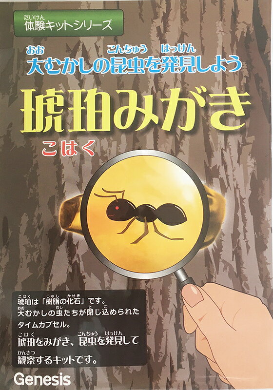 体験キットシリーズ (琥珀みがき) 虫入り琥珀をみがくキット 樹脂 化石